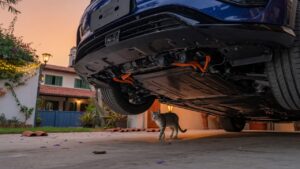 BYD electric vehicle with advanced undercarriage sensor technology detecting a cat walking safely underneath in a Brazilian residential setting